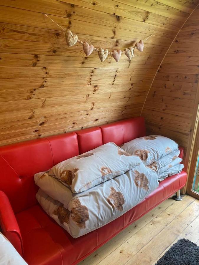 Meadow Glamping Hotel Carmarthen Bagian luar foto